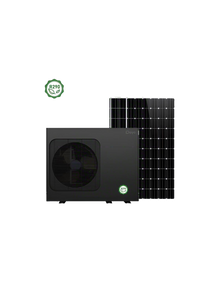 Deye R290 Hybrid ACDC